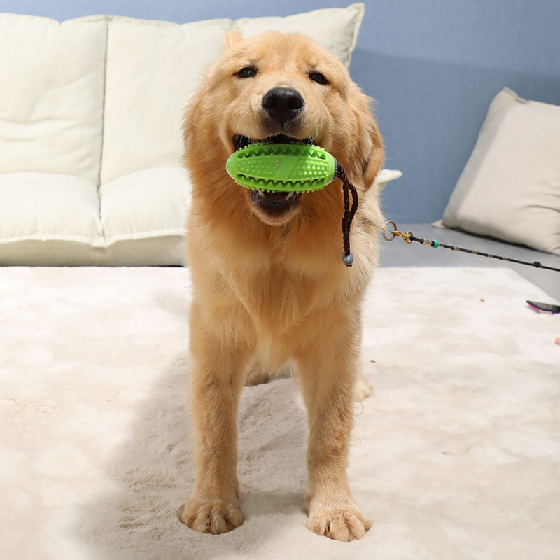 Dog Interactive Natural Rubber Ball