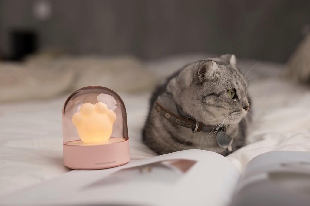USB Charge Ambient Light Cartoon
