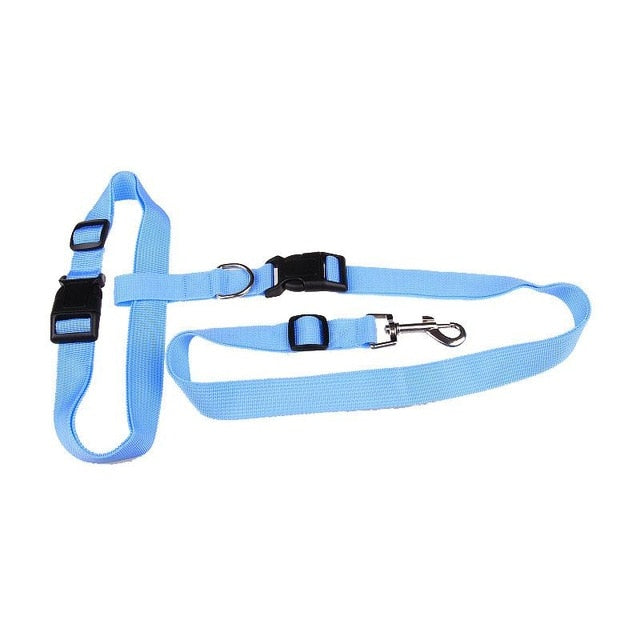 Traction Pulling Leash Pet