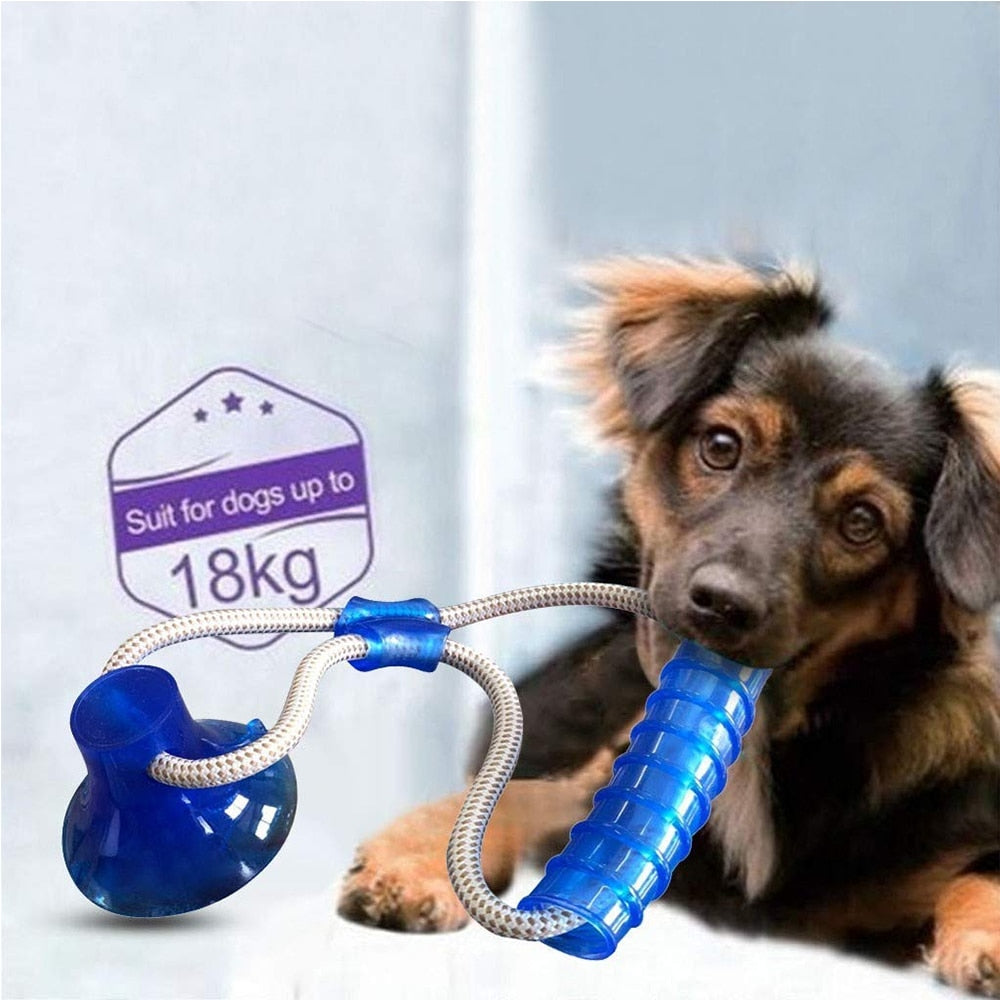 1PCS Pet Self-playing Rubber Ball