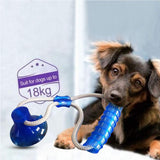 1PCS Pet Self-playing Rubber Ball