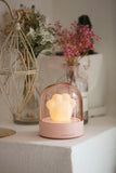 USB Charge Ambient Light Cartoon