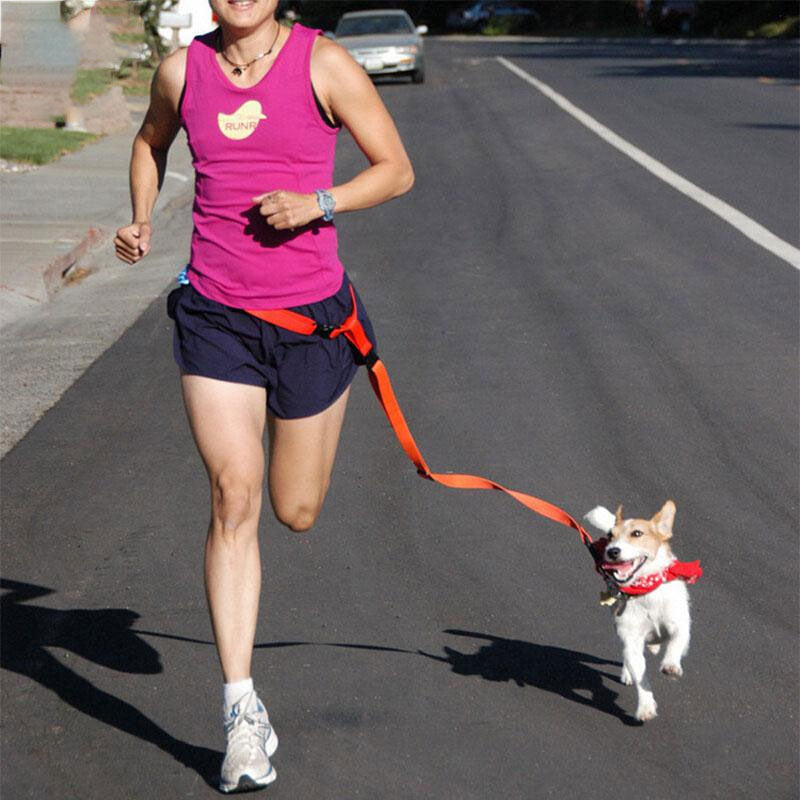 Traction Pulling Leash Pet