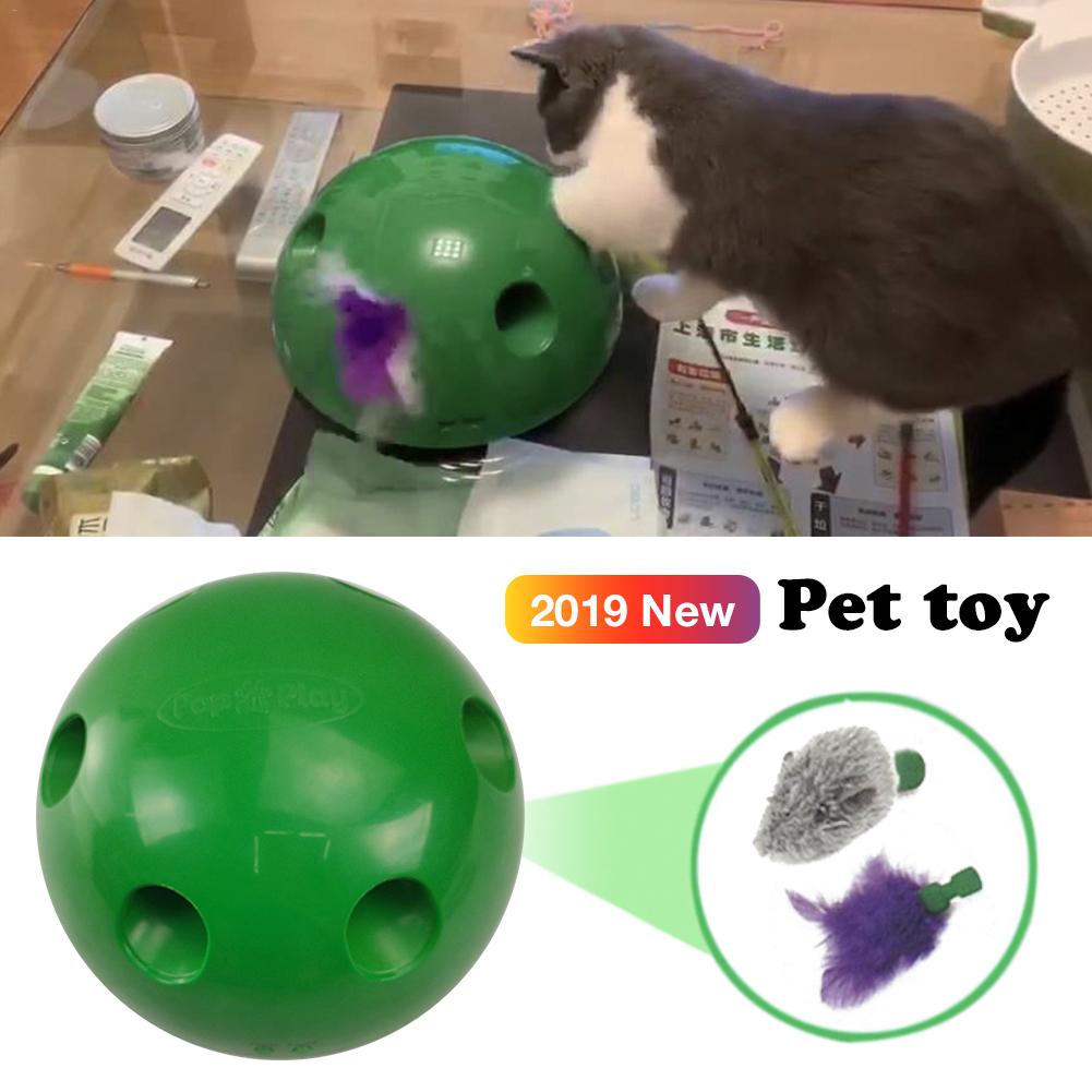 New Toy Pop Play Pet
