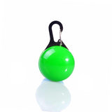 Pet LED Flashing Glow Collars