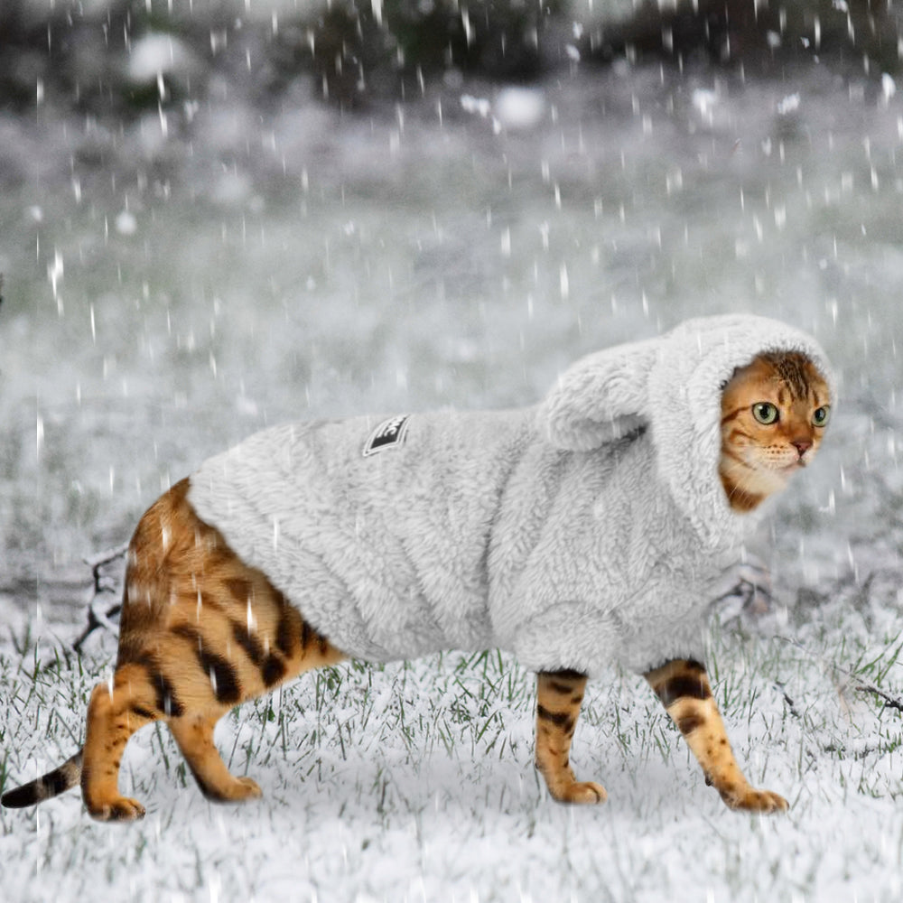 Winter Pet Kitten Coat Jacket