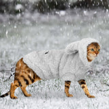 Winter Pet Kitten Coat Jacket