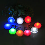 Pet LED Flashing Glow Collars