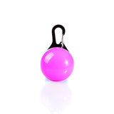 Pet LED Flashing Glow Collars