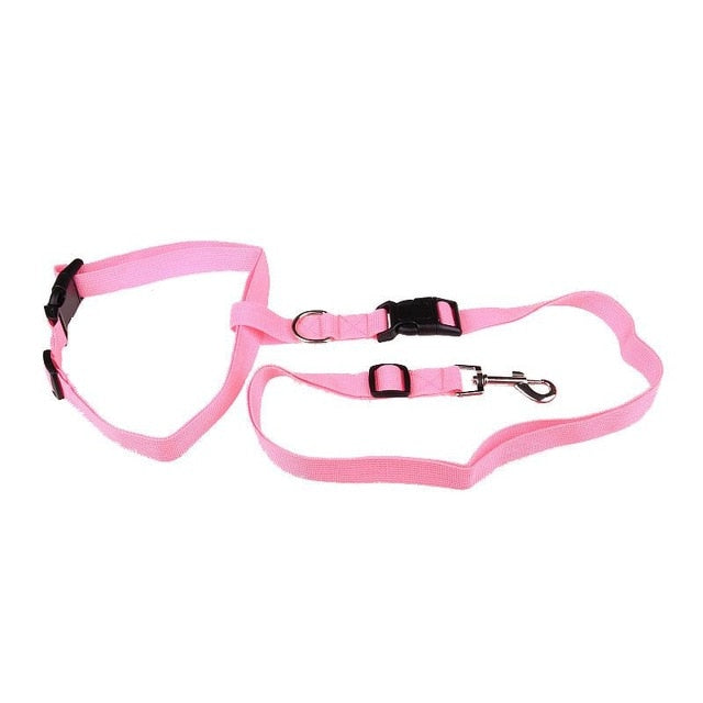 Traction Pulling Leash Pet