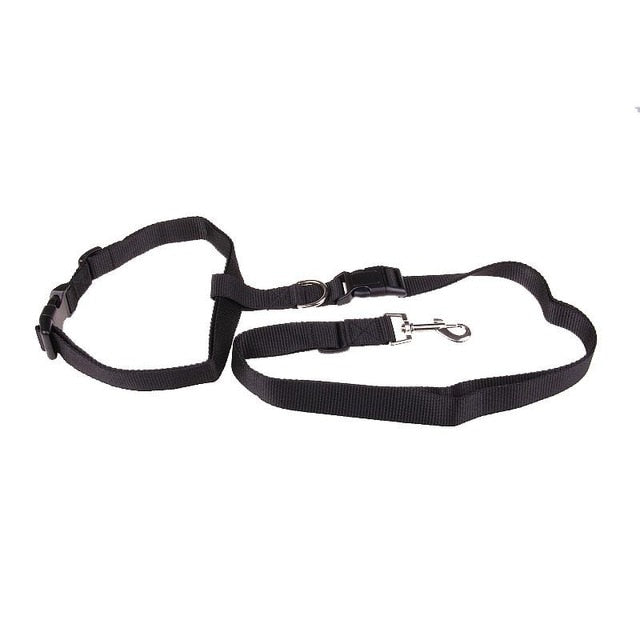 Traction Pulling Leash Pet