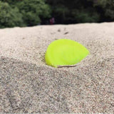 Catching Game Flying Disc