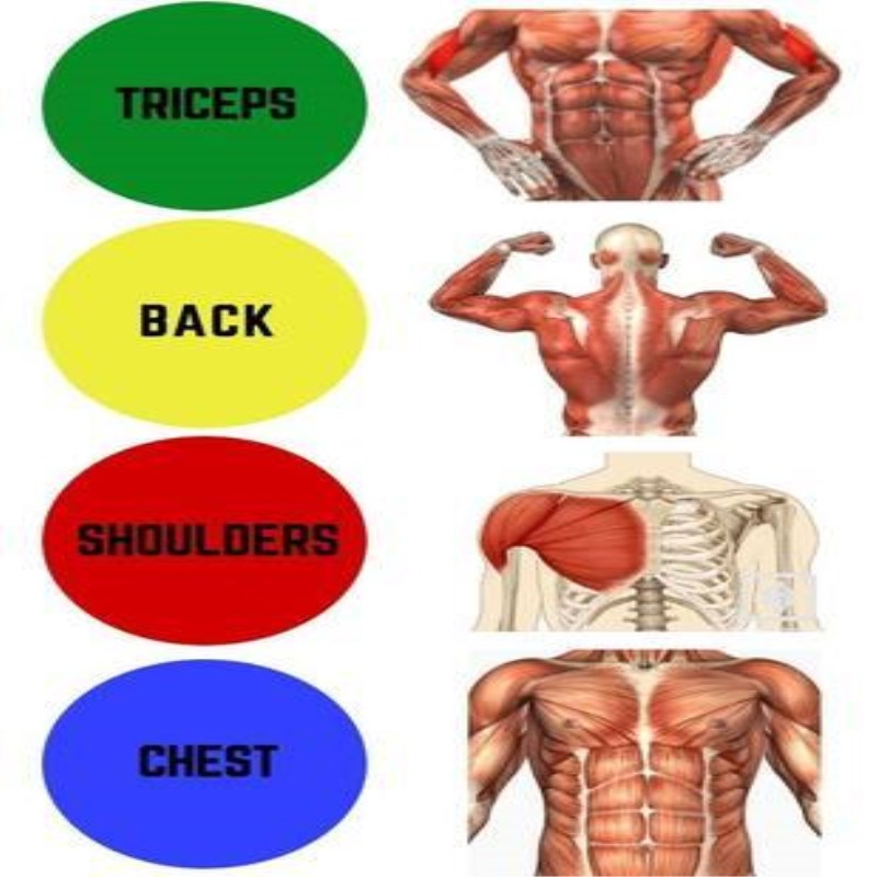 9 in 1 Push Up Rack Board