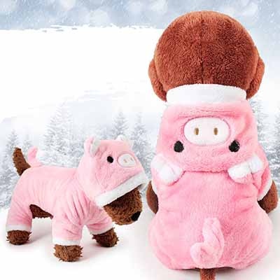 Costume Halloween Pet Clothes
