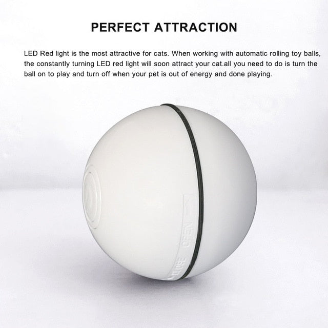 Smart Interactive Pet Toy