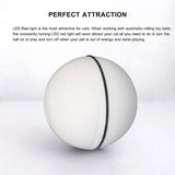 Smart Interactive Pet Toy