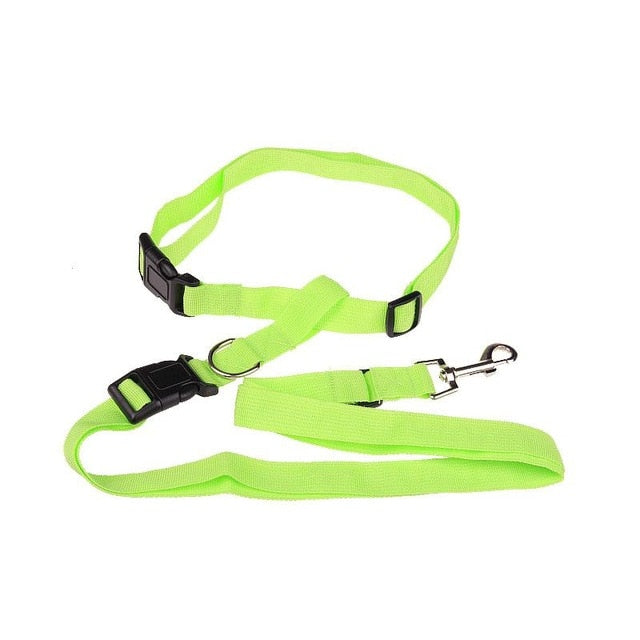 Traction Pulling Leash Pet