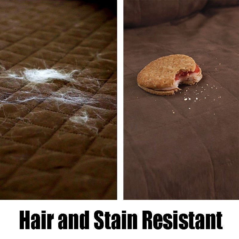 Sofa Couch Cover