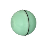 Smart Interactive Pet Toy