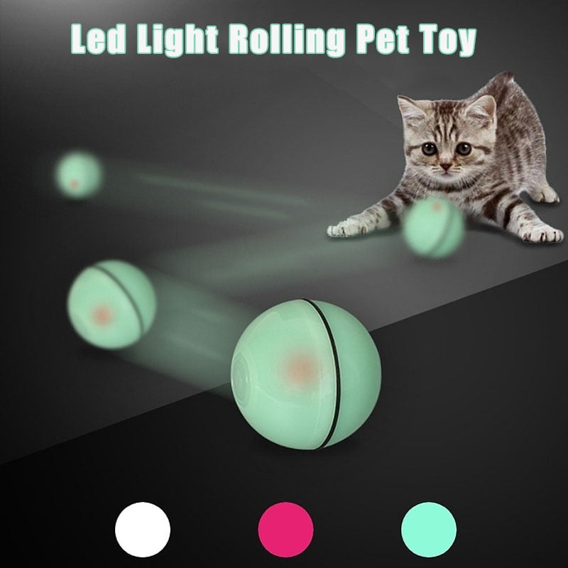 Smart Interactive Pet Toy