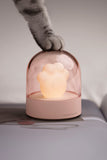 USB Charge Ambient Light Cartoon