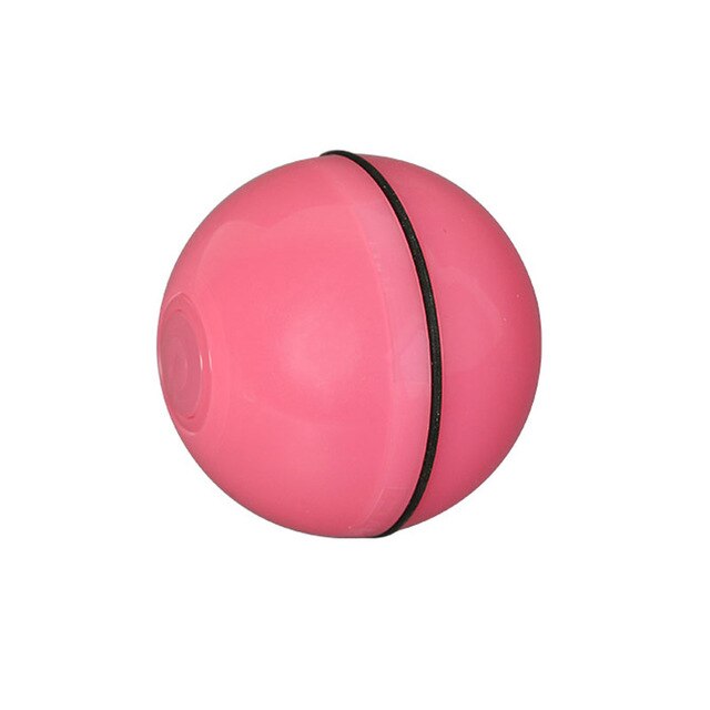 Smart Interactive Pet Toy