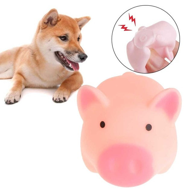 Pet Product Rubber Toy
