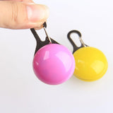 Pet LED Flashing Glow Collars