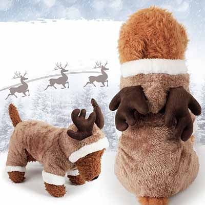 Costume Halloween Pet Clothes