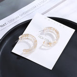 Retro Transparent  Cold Acrylic Earrings