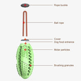 Dog Interactive Natural Rubber Ball