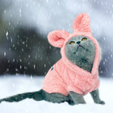 Winter Pet Kitten Coat Jacket