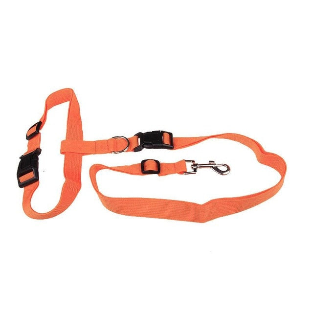 Traction Pulling Leash Pet