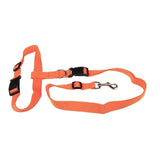 Traction Pulling Leash Pet