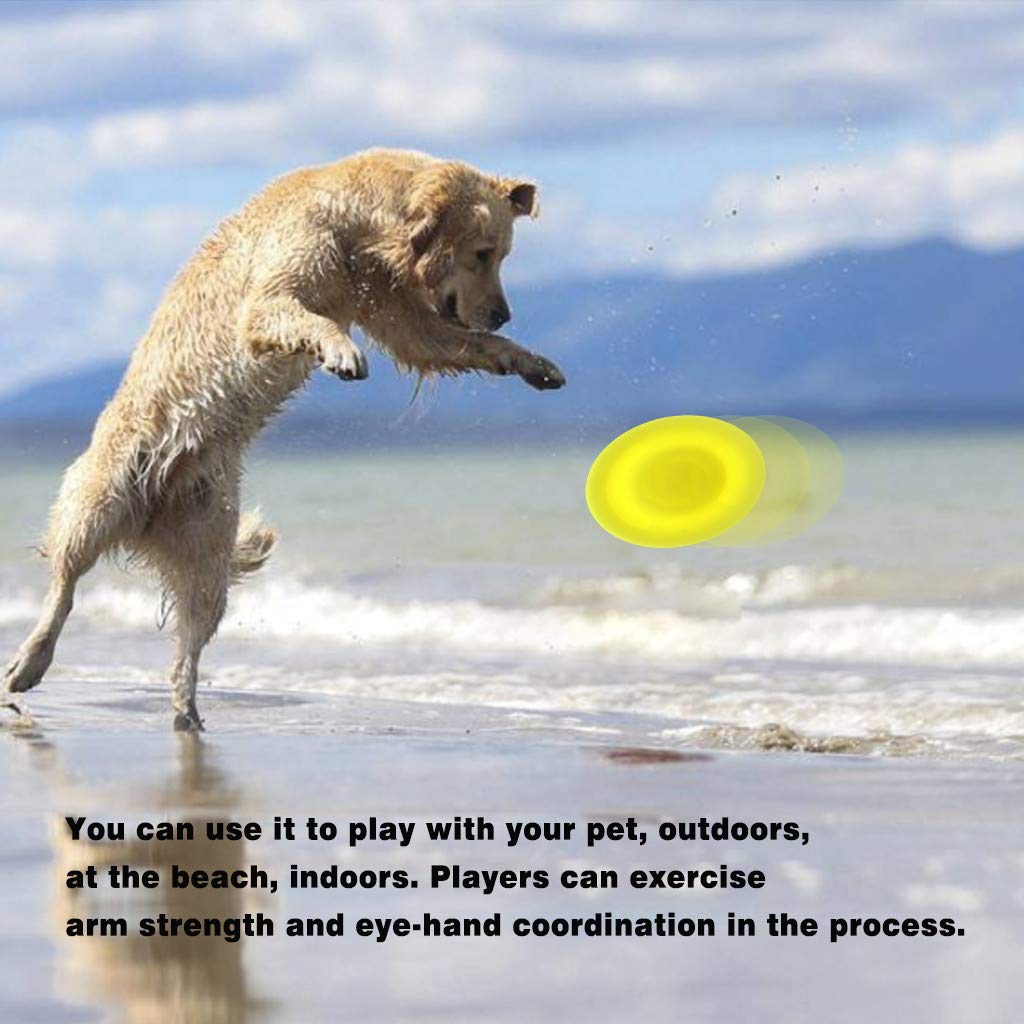 Catching Game Flying Disc