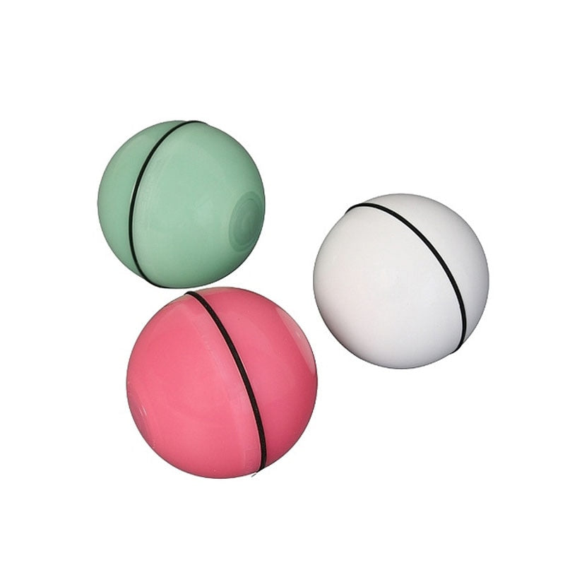 Smart Interactive Pet Toy