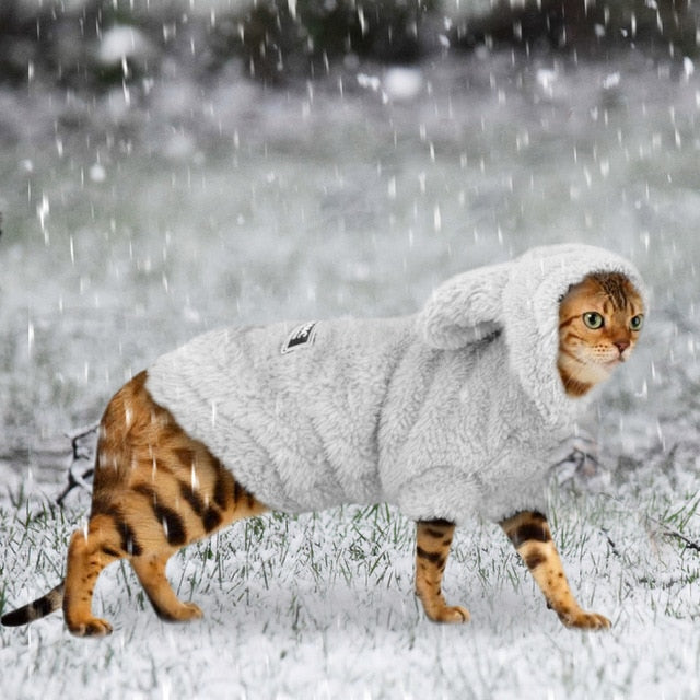 Winter Pet Kitten Coat Jacket