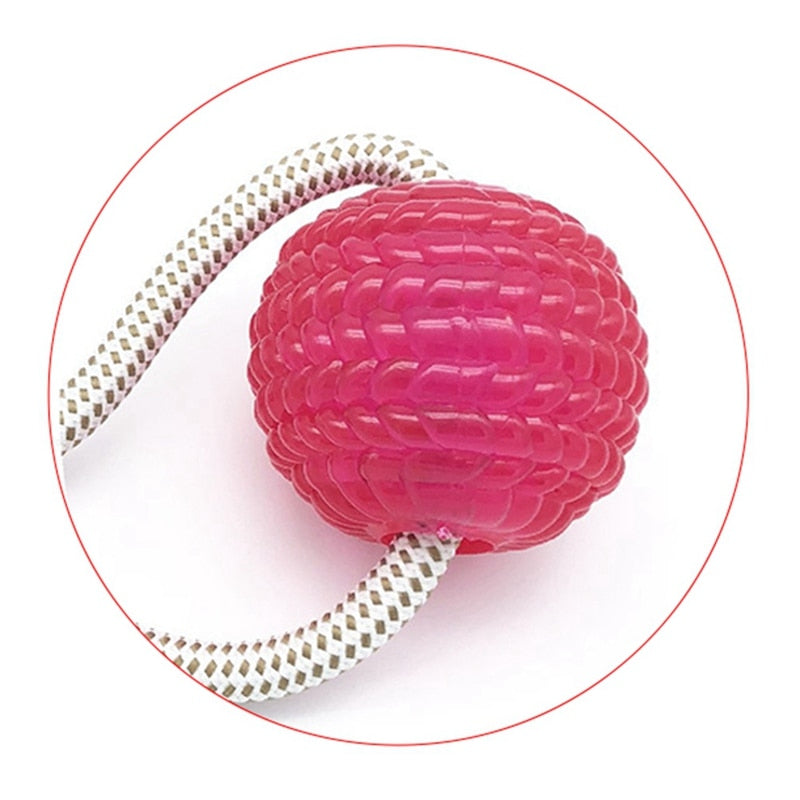 Multifunction Pet Molar Bite Toy