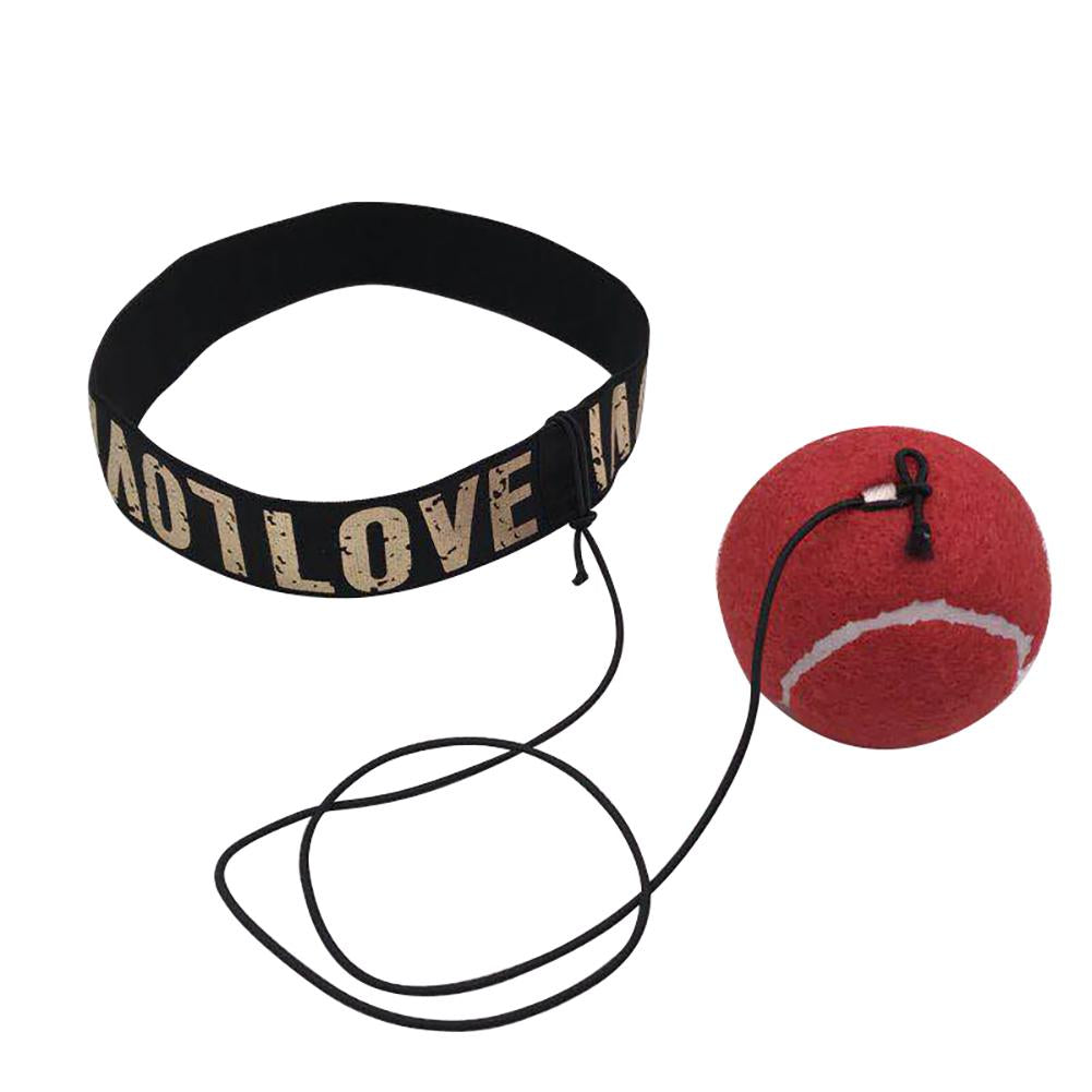 Speed Training Boxing Punch Muay