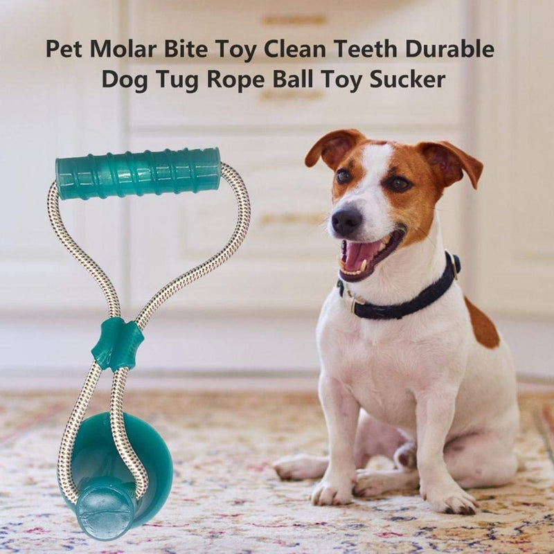 1PCS Pet Self-playing Rubber Ball