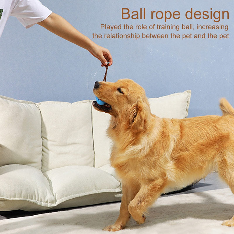 Dog Interactive Natural Rubber Ball