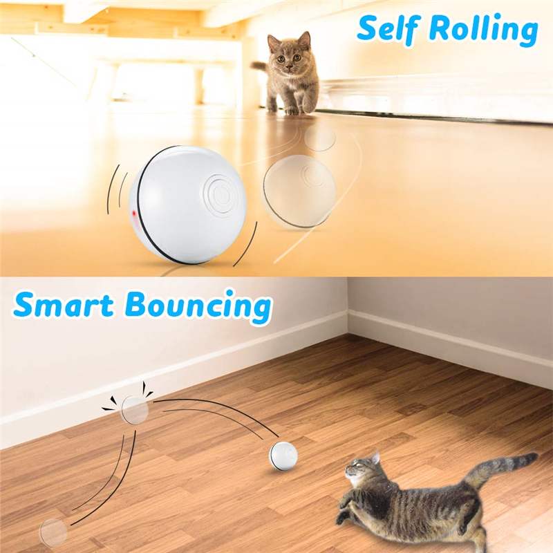 Smart Interactive Pet Toy