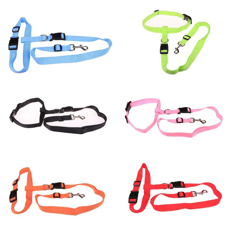 Traction Pulling Leash Pet