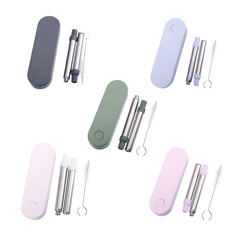 Portable Storage Box Reusable Straws